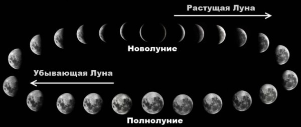 lunar-phases-1-copy-768x324