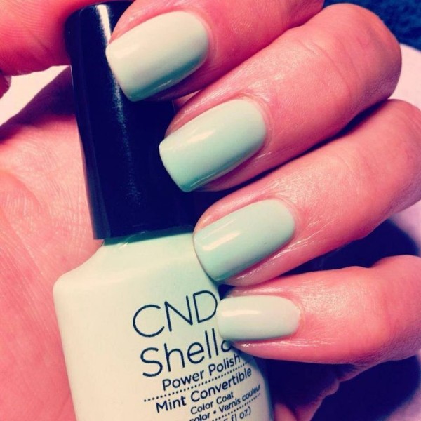 shellac-v-misnke-mint-2014-color