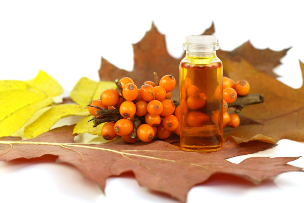 These are ripe orange berries of sea-buckthorn berries and the medical oil made of stones of sea-buckthorn berries. This oil possesses tremendous medical effect and is actively used in pharmacology. Berries ripen in the late autumn, therefore on the image there are yellow and red leaves. Selective focus.