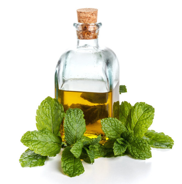 Bottle of pure fresh olive oil with mint