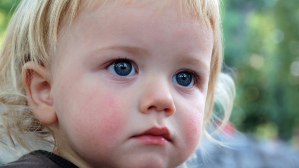 portarit of a little blond toddler boy