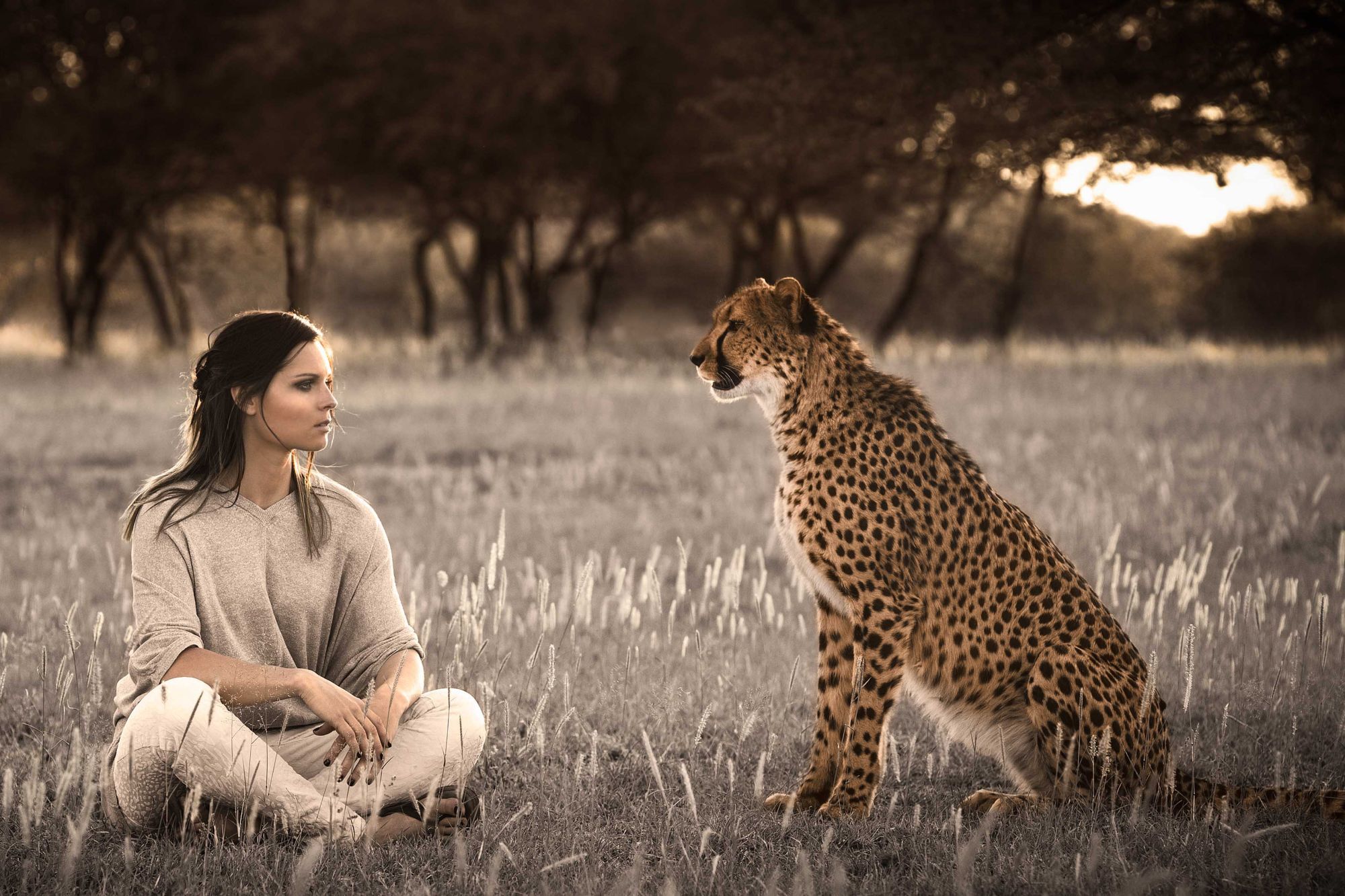 Работы с дикими животными. Кристен Керр гепарды. Девушка и леопард. Девушка гепард.