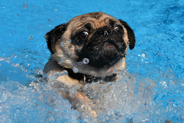 вода