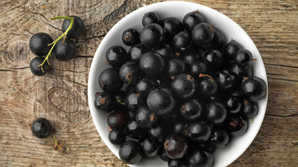blackcurrant berry