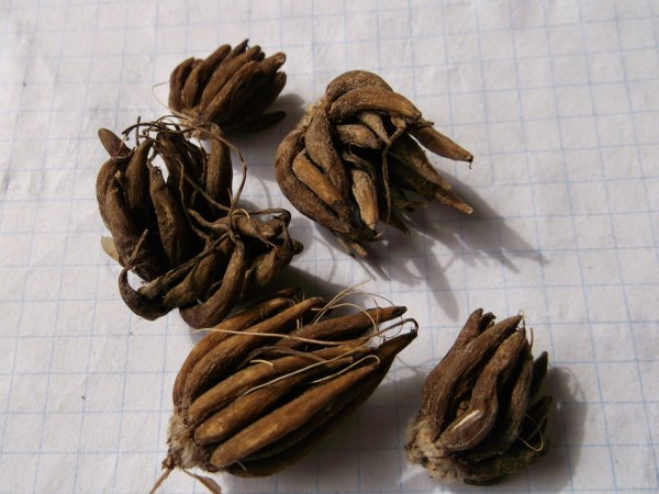 р8