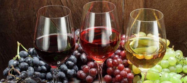 vino1