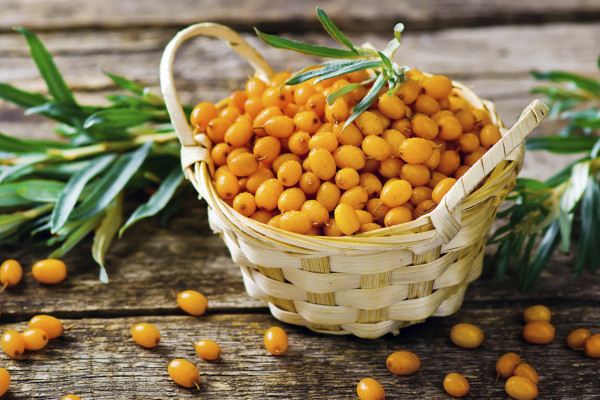 berries of an organic sea-buckthorn in a basket. style rustic. selective focus