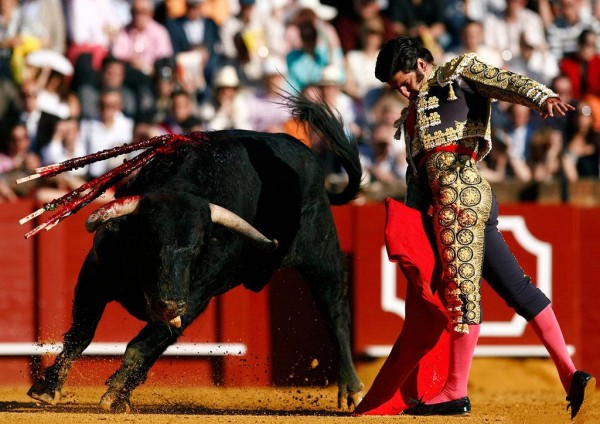 Spanish bullfighter Morante de la Puebla performs a pass to a bull during a bullfight in The Maestranza bullring in Seville April 12, 2009. REUTERS/Marcelo del Pozo (SPAIN SOCIETY)