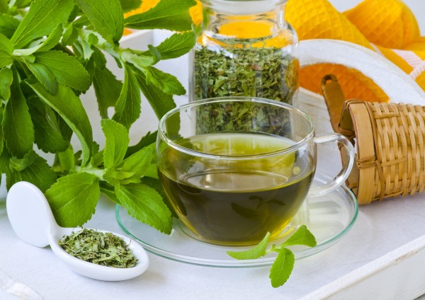 Stevia Herbal Tea and dried leaves. Selective Focus. Taken in daylight.