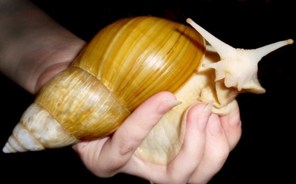 у4