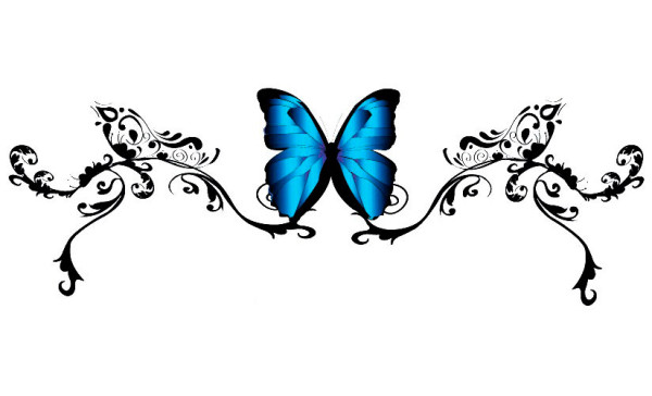28-lower-back