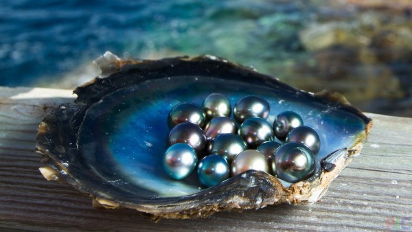 jewel