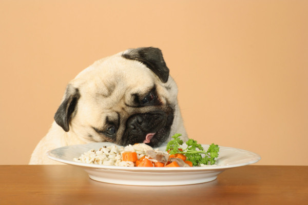 куче-яде-ориз