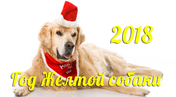 2018-god-zheltoj-sobaki